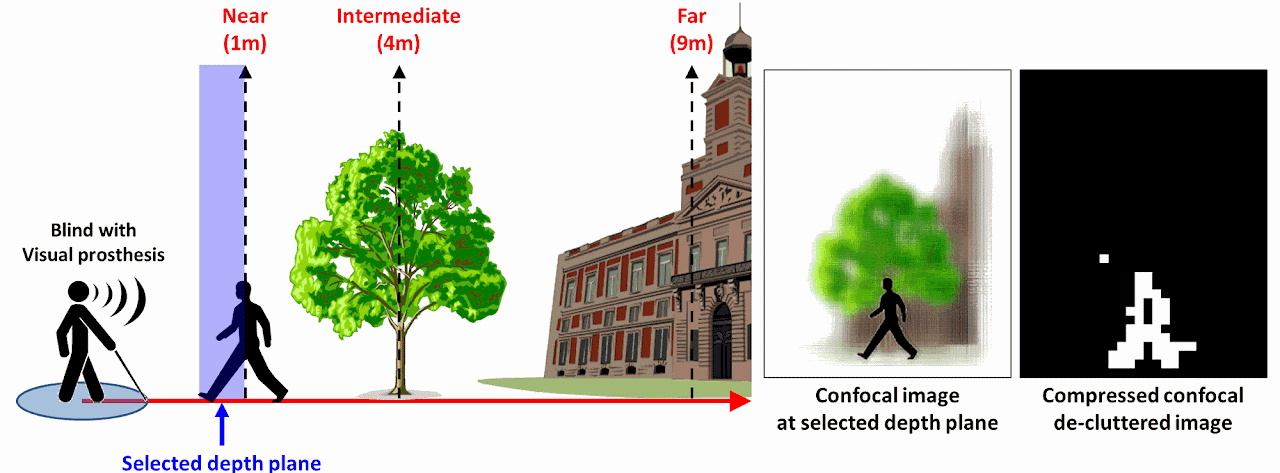 Active Confocal Imaging for Visual Prostheses — research illustration 1