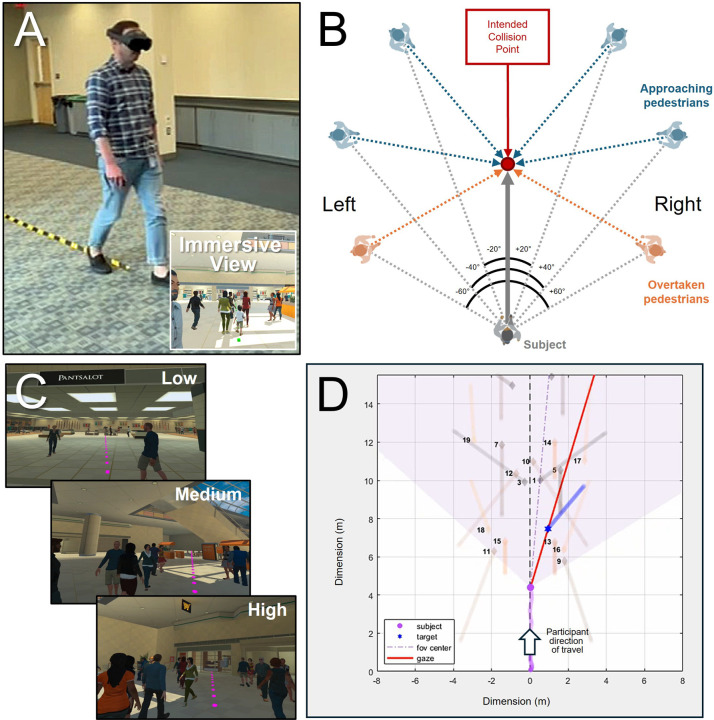 Figure 1: immersive VR walking, colliding pedestrians, crowd densities, and recorded walking paths.