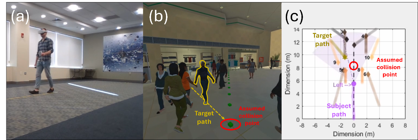 Figure 3: A participant walking with an HMD, the virtual shopping mall, and pedestrian trajectories in the collision detection and avoidance task.