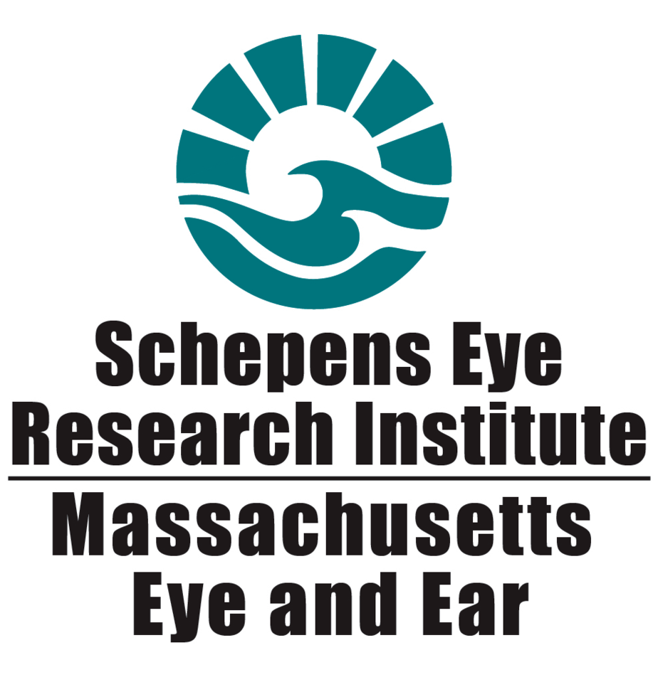 Schepens Eye Research Institute, host of the Best Paper of the Year Award.