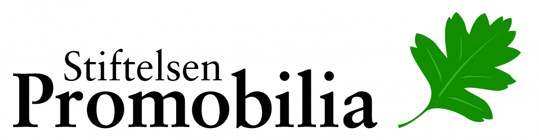 Original announcement image: Promobilia Foundation Fellowship