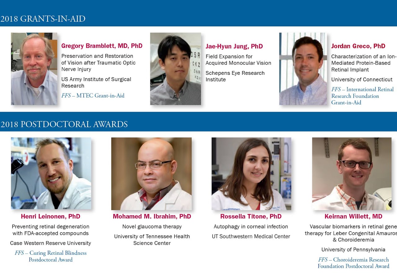 Original announcement image: Fight for Sight Grant-in-aid Award