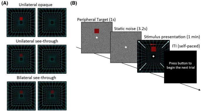 Peripheral display configurations and target detection procedure used to study visual rivalry.