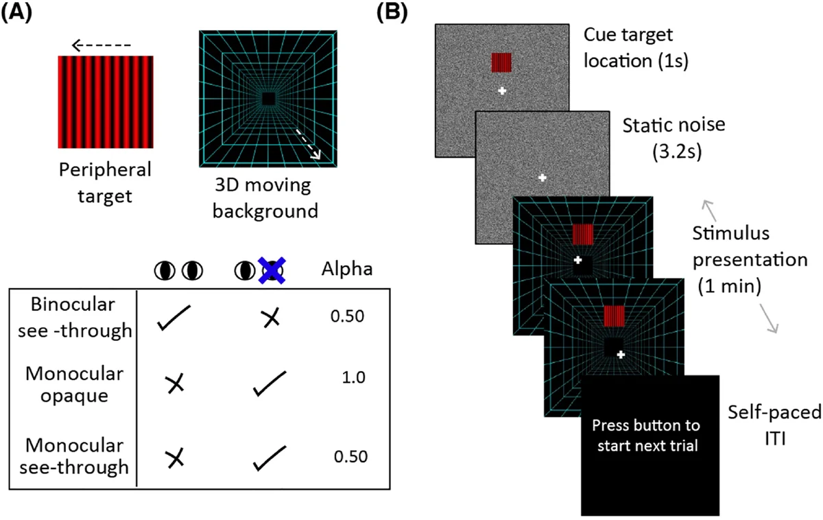 Peripheral grating stimuli, display configurations, and target visibility procedure.
