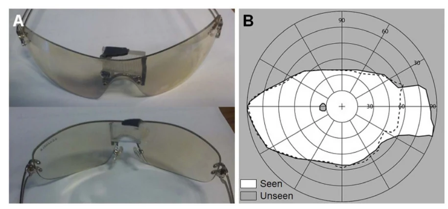 Multiplexing prism glasses and the measured field expansion for acquired monocular vision.