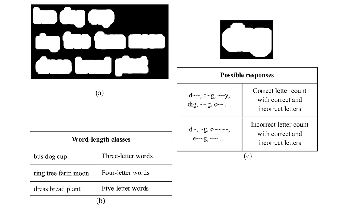 Low-resolution word representations, word-length groups, and example recognition responses.