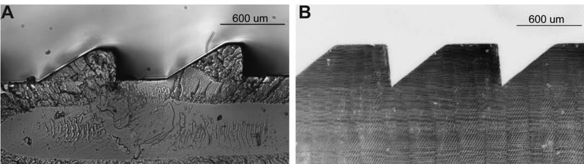 Micrographs of two multiplexing prism prototypes showing prism and flat elements.