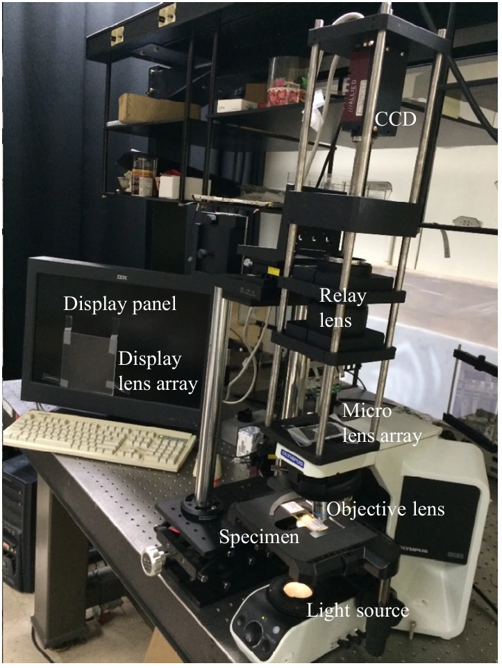 An optical setup combining light field microscopy, a microlens array, and a display for real-time 3D visualization.