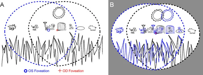 Field and percept diagrams illustrating binocular double vision in a savannah scene.
