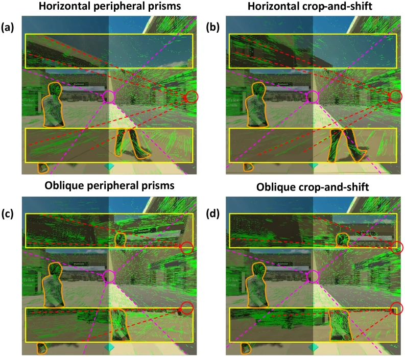 Virtual-reality views comparing optic flow through peripheral prisms and image crop-and-shift field expansion.