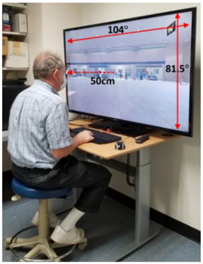 Participant seated at the wide-field display used to test pedestrian collision judgments.