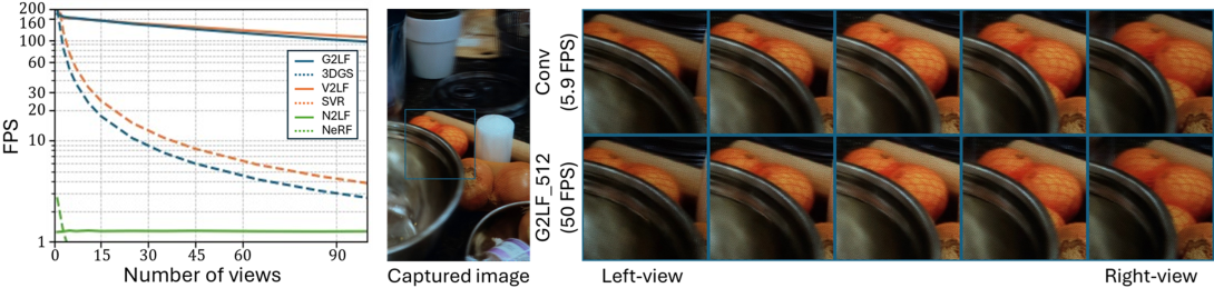 Rendering performance and light field views of a radiance field scene.